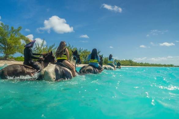 Carnival Cruises - Half Moon Cay 9, Credit. Boldman Media.jpg